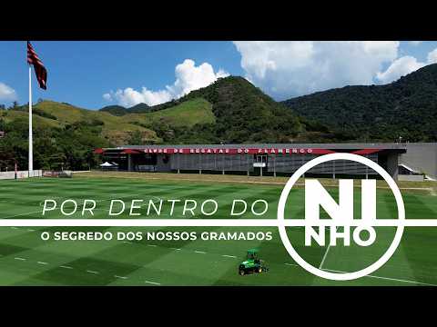 O SEGREDO DOS NOSSOS GRAMADOS – POR DENTRO DO NINHO EP. 02