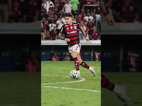 RAÇA DO MEU ⿩ E CATEGORIA DO MEU ⿧! 🔴⚫ #flamengo