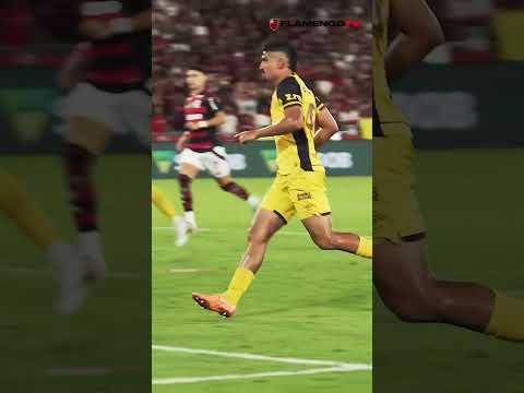 TUDO SOBRE A SEMANA DO MENGÃO. FLAPRESS NO AR!