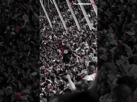 SEGUIMOS NA CONTAGEM REGRESSIVA! VAMOS, NAÇÃO! 🔴⚫ #flamengo #flamengotv