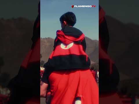 A FESTA DA TORCIDA EM LIMA ❤️🖤 #torcida #flamengo #flamengotv