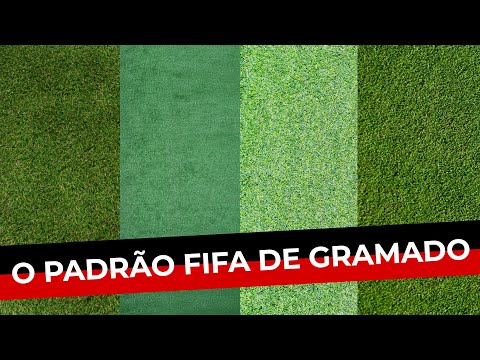 ENTENDA POR QUE A FIFA CONSIDERA O GRAMADO NATURAL A SUPERFÍCIE IDEAL PARA O FUTEBOL